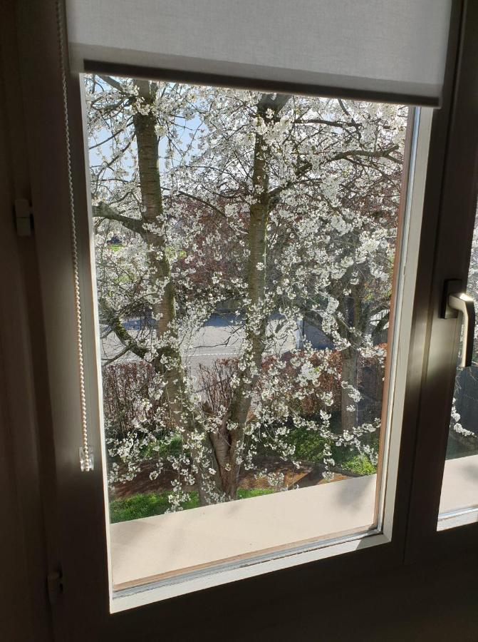 Appartement L’écrin Du Verger *